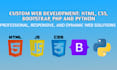create custom web development