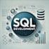 build custom database and queries for sql server mysql oracle