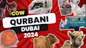 make amazing customize youtube thumbnail only in 10 hours
