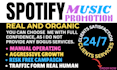 do expert spotify music promotion through ads campaign