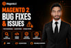 fix any type of bugs and issue from magento 2