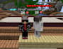 beat minecraft and bring elytra and dragon heads for you