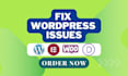 fix wordpress issues, css , errors, bugs, provide wp help