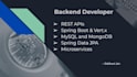 do java spring boot, vertx, rest api, hibernate and microservice projects