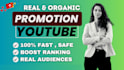do channel promotion for complete youtube channel monetization organic growth