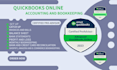 do set up, clean up  quickbooks online bookkeeping