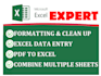 clean excel spreadsheet, excel data cleaning, powerpoint