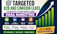 provide targeted b2b and linkedin leads to boost your sales and email marketing