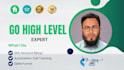 go high level website design, automation, sales funnel