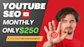 be your youtube channel growth manager and SEO specialist