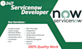 with any servicenow integration, scripting work job support