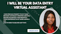 provide high quality data entry for you