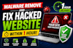 malware remove and fix hacked website within 1 hour