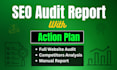 do a professional SEO audit and create an action plan