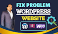 fix wordpress website any issues, bugs, theme customization