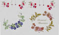 draw botanical illustrations in watercolor