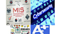 do management information systems, cyber security, IT tasks