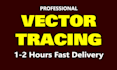 transform your jpeg into high quality vector tracing files