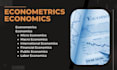 handle econometrics, economics, international, financial, micro and macro