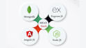 do professional  development node js express mongodb