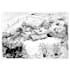 make pen and ink illustrations