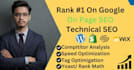 do complete on page SEO and technical optimization for your website