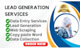 provide data entry, lead generation and web scraping as your terms