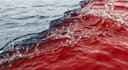 render pro 3d water simulation, 3d water animation, 3d fluid simulation,3d blood