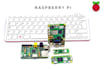 programming raspberry pi, arduino esp and embedded systems
