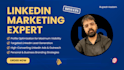 setup and manage high performing linkedin ads campaign