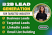 do b2b lead generation and  data entry
