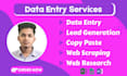 do data entry, web research, pdf to excel, copy paste