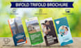 design a flyer, trifold, bifold, brochure real state leaflet