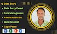 do expert data entry, web research, and copy paste services