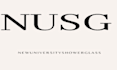 create a professional logo