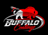 design wonderful buffalo logo with free unlimited revisions
