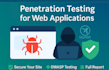 penetration testing on websites to find vulnerabilities