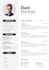 do professional resume writting editing and rewriting