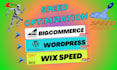 speed up wix bigcommerce wordpress website and online store optimization