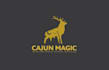 design awesome cajun magic logo