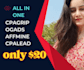 do all in one such as ogads affmine cpalead