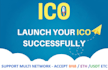create a professional multi network ico presale website