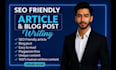 do SEO friendly articles writing, blog posts writing