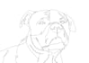 create digital line art illustration