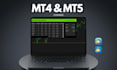 program mt4 and mt5 indicator and exper advisor