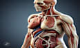 generate ai medical animation 3d healthcare patient medical explainer video