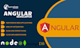 transform your vision expert angular developer for stunning, responsive website