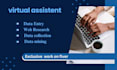 do copy paste or data entry in low price