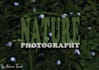 do professional nature photography for your projects