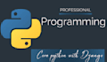 professional python programming developer